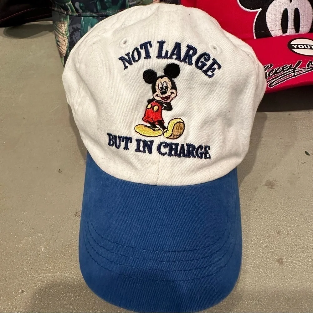Disney lot youth